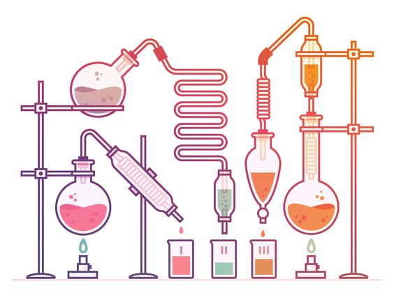 Les principaux éléments dont il faut tenir compte pour recruter dans le secteur des sciences biologiques